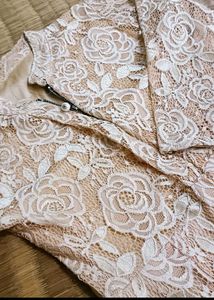 Elegant Lace Ethnic Gown