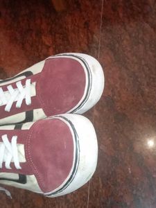 Vans Of The Wall