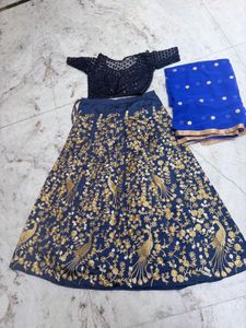 Exquisite Peacock Embroidered Lehenga Choli Set