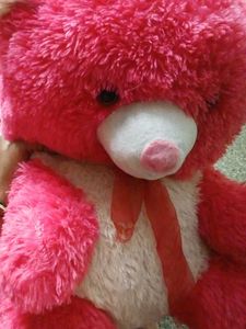 Large Pink Teddy Bear Plush