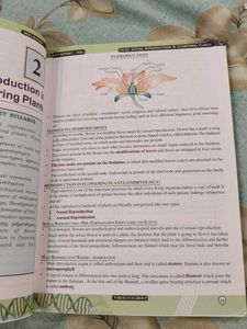II PUC NEET Botany Vol-1