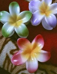 Plumeria Flower Hair Claw Clip
