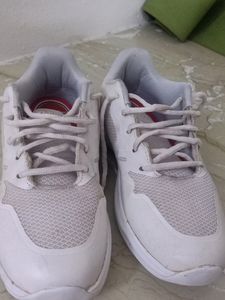 School Shoes/ Casual Shoes