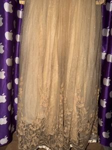 Royal Champagne Gold Embellished Shimmer Net Gown