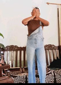Light Wash Denim Overalls