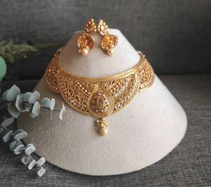 Exquisite Gold Choker Necklace &amp; Earring Set