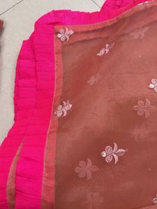 Pink Embroidered Lehenga Skirt