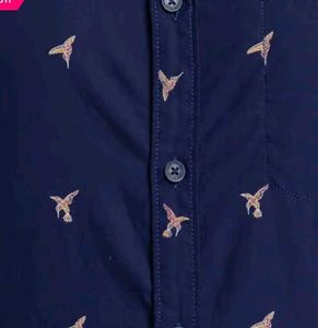 Amazing Stylish Colour plus Brand Men's Blue Bird