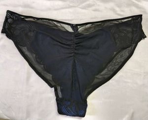 Brief/ Transparent Brief