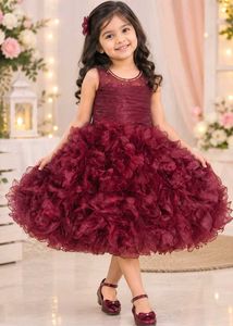 Burgundy Organza Ruffle Dress