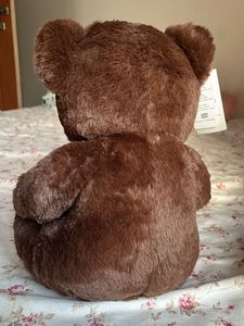 Cute Brown Plush Teddy Bear