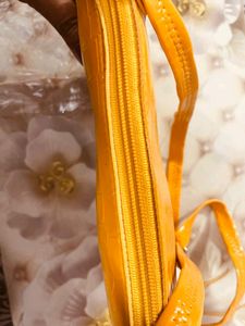 Fancy Sling Bags