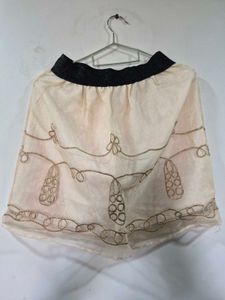 Sheer Embroidered Ethnic Skirt