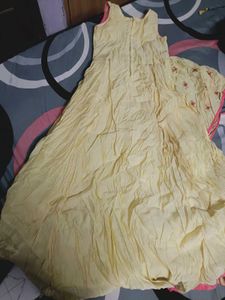 Beautiful Yellow Embroidered Gown