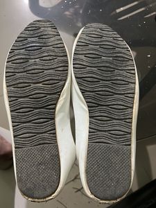 White Flat Bellies EU 39No.