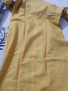 Elegant Phulkari Embroidered Kurta