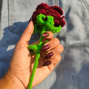 Cute Rose Flower