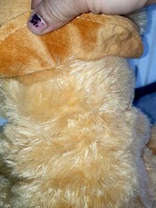 Cute Teddy Bear with Hat