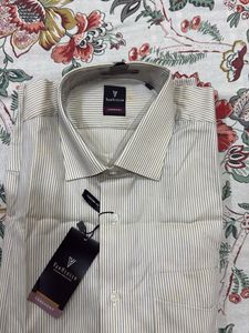 Van Heusen Striped Shirt