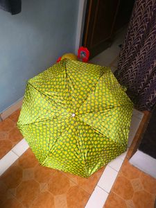 umbrella beautiful green color