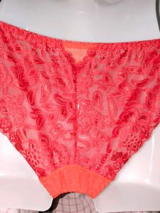 Premium Vibrant Red Floral Mesh Lace Bikini Panty