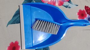 Dust Pan With Brush