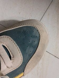 Stylish Casual Sneakers