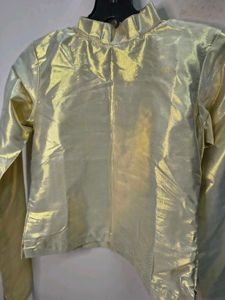 Golden Metallic Foil High Neck Full Sleeve Blouse