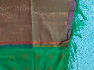 new saree