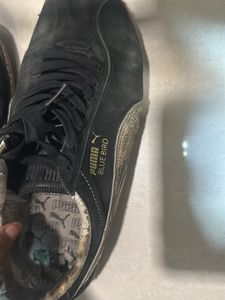 Puma Bluebird Casual Shoes