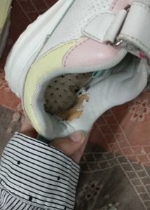 Cute Pastel Sneakers