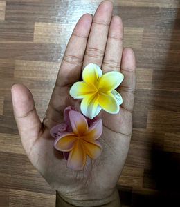 Plumeria Flower Matte Hair Clips - Set of 2