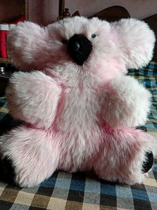 Baby Pink Teddy Dog