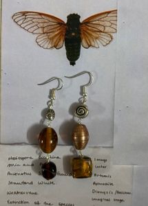 Bohemian Beaded Drop Earrings