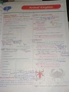 Zoology Med Easy 2.0 Book