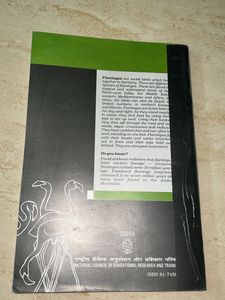 Flamingo Textbook for Class XII