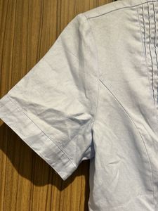 Ruffled Short Sleeve Blouse