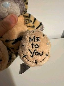 Teddy Bear in Tiger Costume