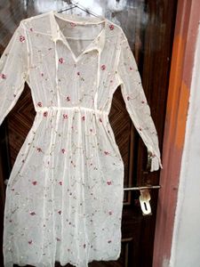 Sheer Embroidered Floral Mini Dress