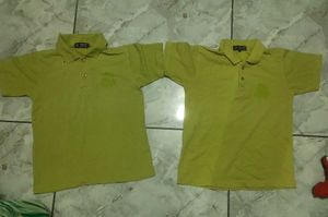 Men's Light Green Polo Shirt