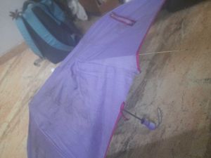 Purple Umbrella