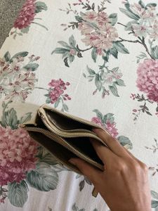baggit Clutch Bag