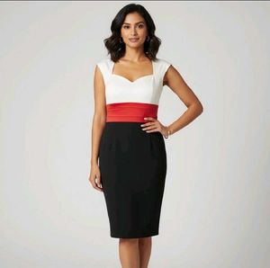 Chic Color Block Sheath Dress 🦋
