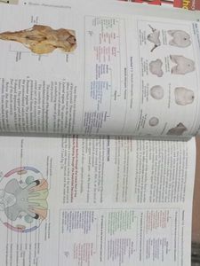 Human Anatomy Vol 3 and 4