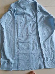 Blue Collared Shirt