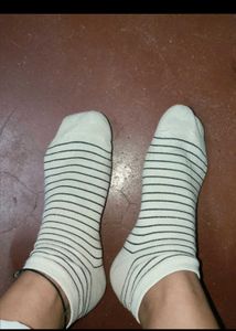 dailywear gym socks