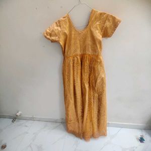 Beautiful Ethnic Gown