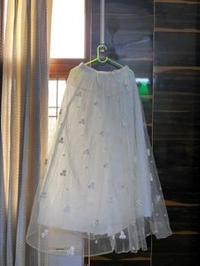 Beautiful Embroidered Skirt
