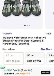 Waterproof With Reflective Straps Shoes For Dog