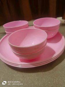 Pink Plastic Bowl and Plate Set